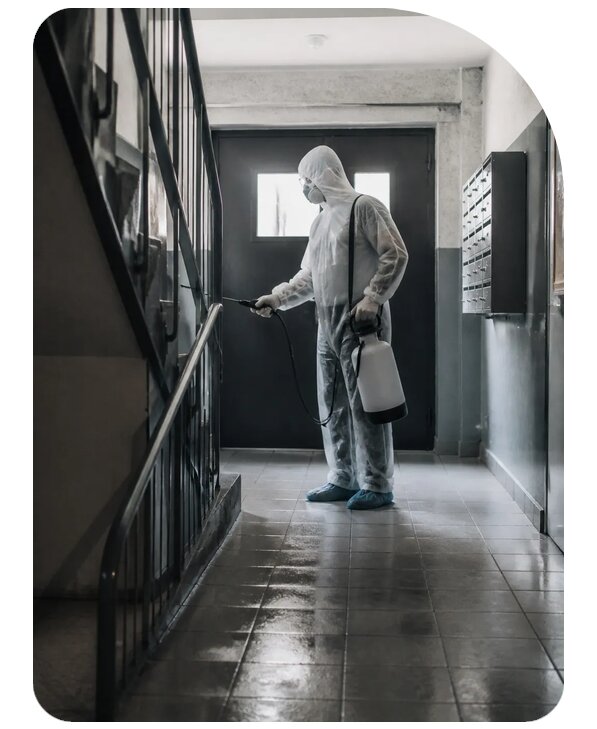 Антисептическая обработка в Устях-Лабинске по цене от 3576 р. | Сенат-Улб